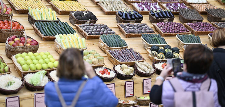 Nicht nur das Gemüse an der Olma ist (logischerweise) vegan, auch die Wurst des Gastkantons Zürich hat nichts mit Fleisch zu tun. (Bild: KEYSTONE/GIAN EHRENZELLER)