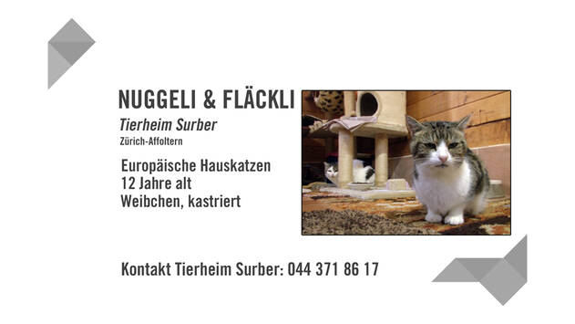 Nuggeli und Fläckli suchen ein neues Zuhause.