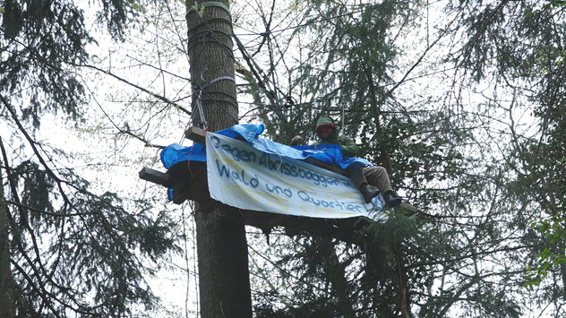 Seit heute Morgen besetzen rund 30 Klimaktivistinnen und Aktivisten den Rümlanger Wald nahe der Deponie Chalberhau.(Bild: Screenshot TELE TOP)