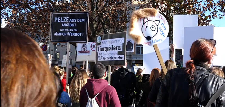 Rund 300 Menschen haben in Zürich gegen Echtpelz demonstriert. (Screenshot: TELE TOP)