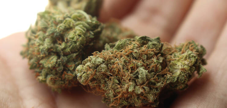 Der blosse Besitz von kleinen Mengen Cannabis ist nicht strafbar. (Bild: pixabay.com/StayRegular)