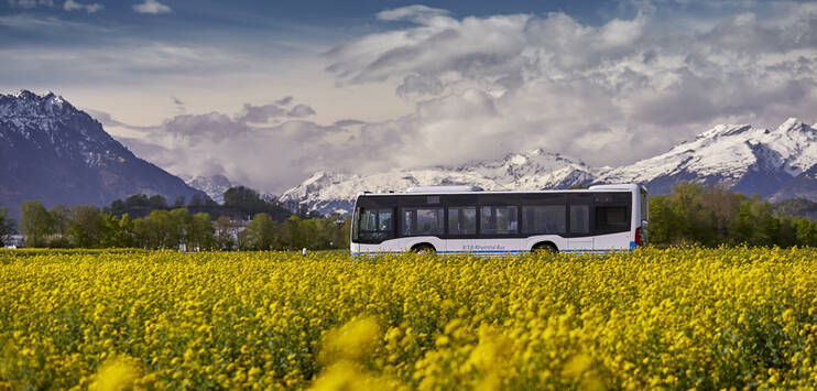 Bei der Bus Ostschweiz wurde mit Bussen getrickst. (Symbolbild: Bus Ostschweiz)