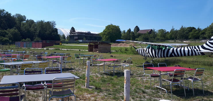 Für Besucherinnen und Besucher des Zoo Zürich hält die Wiedereröffnung ein Highlight bereit. (Bild: RADIO TOP / Céline Greising)
