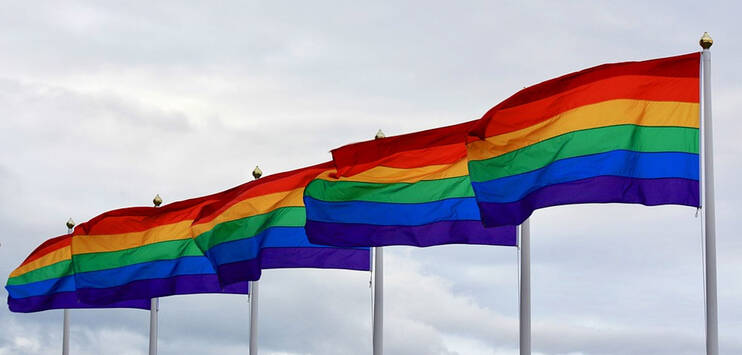 Der Angriff ereignete sich ausgerechnet am Internationalen Tag gegen Homo- und Transphobie. (Bild: pixabay.com/filmbetrachterin) 