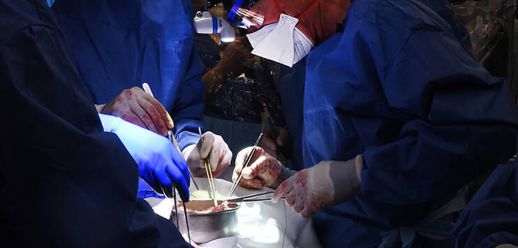 Ärzte operieren an einem Schweineherz, das in einen menschlichen Patienten eingesetzt wird. (Bild: Keystone/University of Maryland School of Medicine/Tom Jemski)