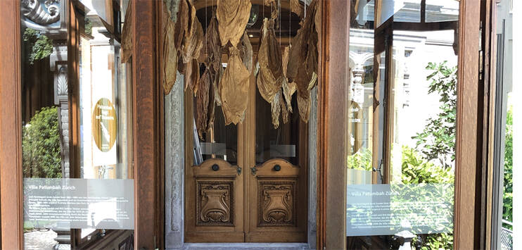 Schon im Eingang der Villa hängen Tabakblätter, um deren Herkunft es in der Ausstellung geht. (Bild: RADIO TOP / Vivien Sasso)