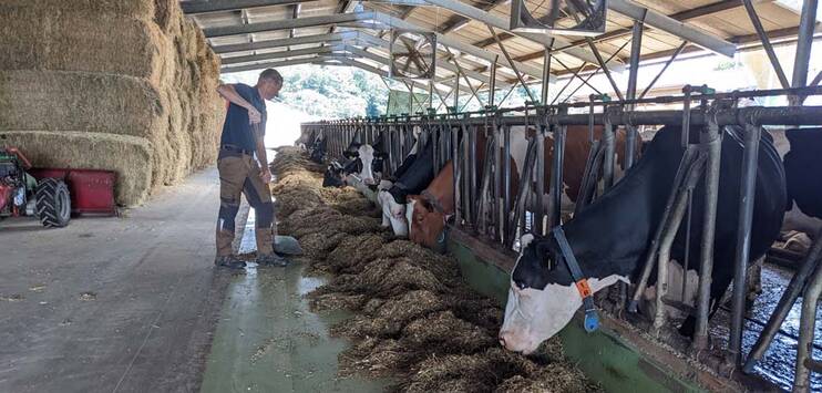 Der Ossinger Landwirt Andreas Buri hat noch genug Futter. Wegen der Trockenheit droht allerdings eine Knappheit. (Bild: TOP-Medien/Emanuella Kälin)